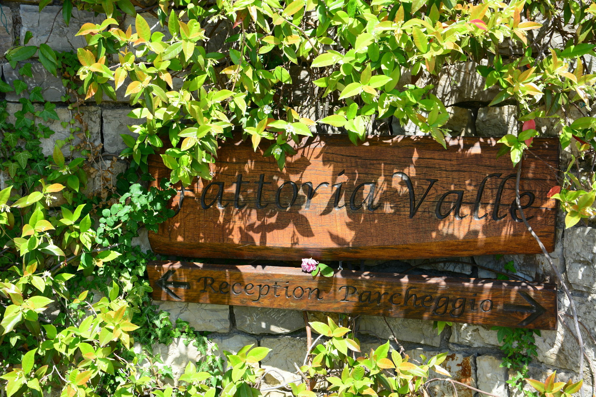 Relais Fattoria Valle Panzano in Chianti Exterior foto